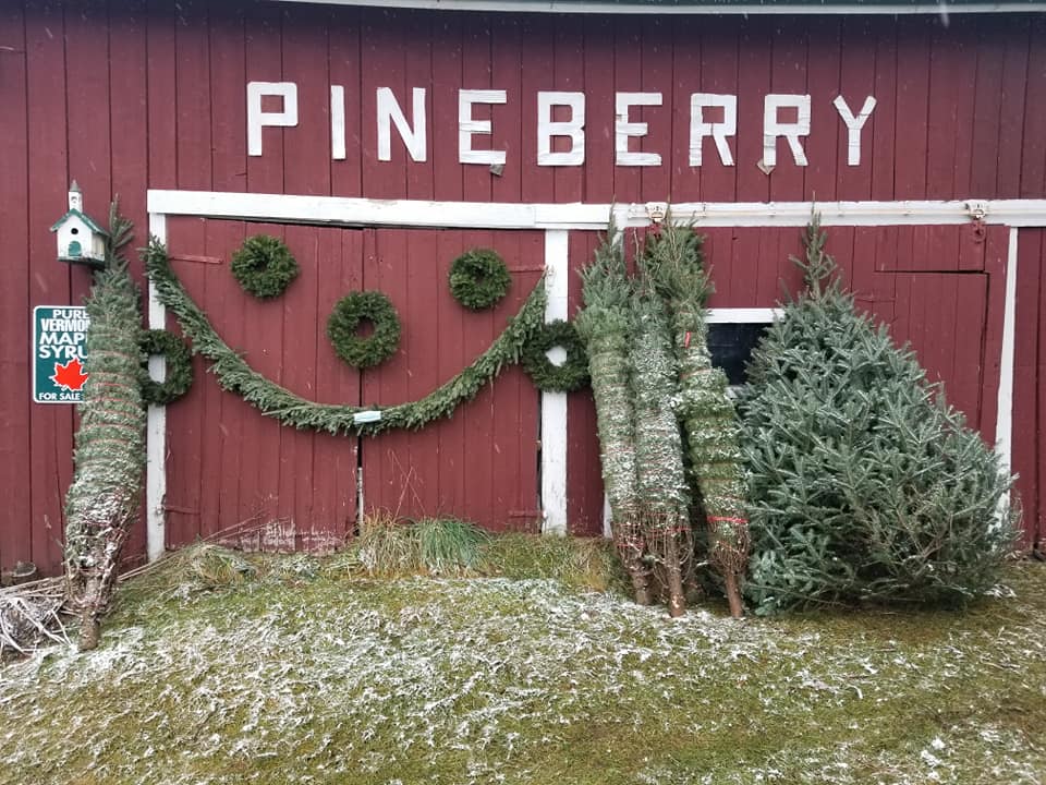 The Pineberry Shed